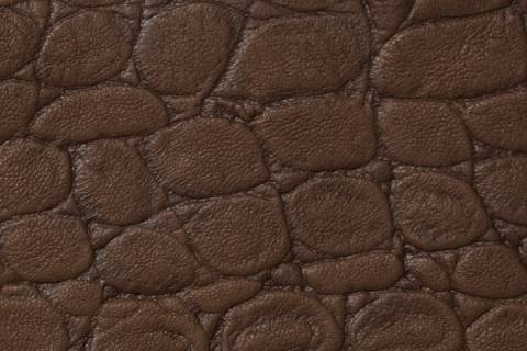 Leder - Krokopr&auml;gung d&uuml;nn - Bild: Farbe-caramel