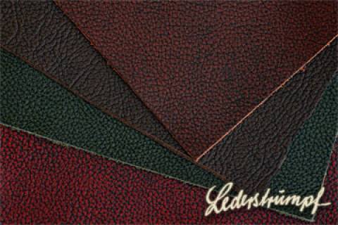 Polsterm&ouml;belleder - Bristoll - Bild: Farbe-Zeder_4