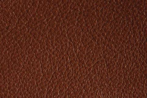 Buchbinderleder - Ziegenleder - Bild: Farbe-Cognac-254