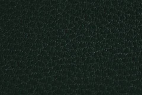 Buchbinderleder - Ziegenleder - Bild: Farbe-Gruen-553