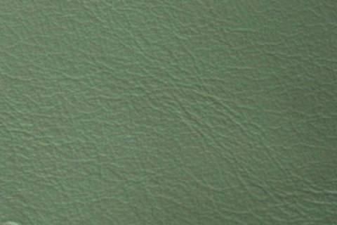 Classic Nappa - Rindlederfelle - Bild: Lederfarbe-Pistazie_23