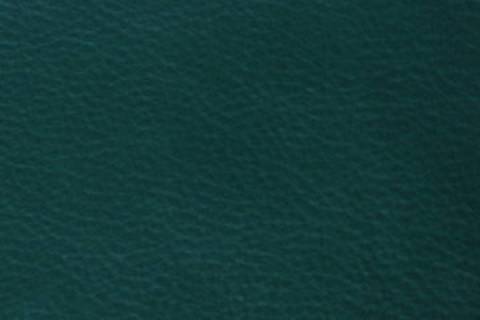 Classic Nappa - Rindlederfelle - Bild: Lederfarbe-Tanne_28