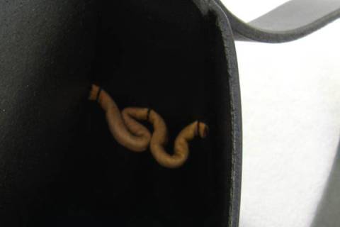 Bridge - Preisgekr&ouml;nte Czerny - Tasche - Bild: A8