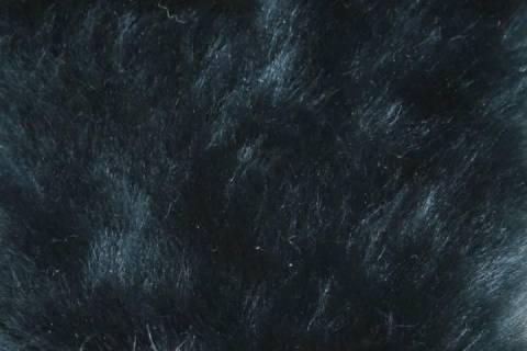 Lammfelle - Bild: 9013