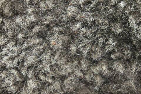 Lammfelle - Bild: 9026