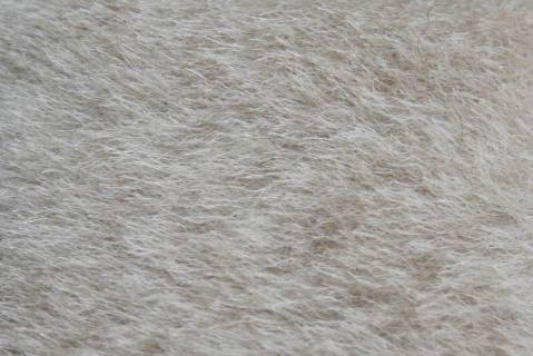 Lammfelle - Bild: 9039