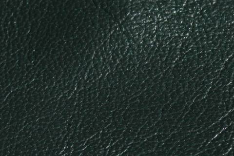 Lammnappa Blouse - Bild: Farbe-Green