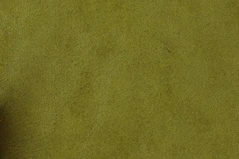 M&ouml;belleder Bridge - Bild: Lederfarbe-Pistazie_10