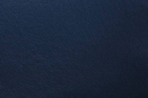 Autoleder - Objektleder - Gastronomieleder - Bild: Lederfarbe-Nautic_20