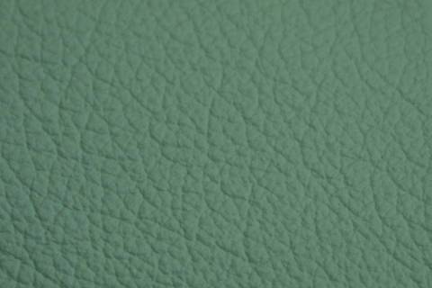 Objekt - M&ouml;belleder - Ariana - Bild: Farbe-Spring-Mint