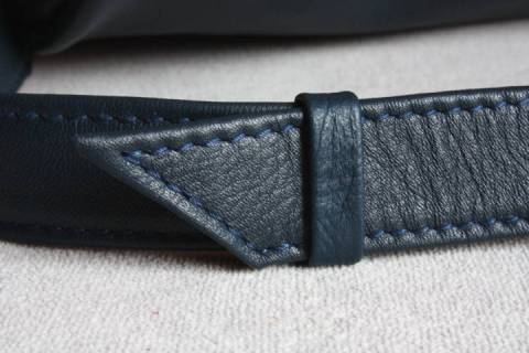 Olbrish b - Chamaeleon Blau / Hellblau - Bild: A3