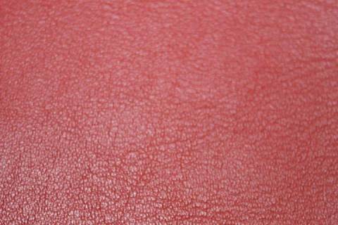 M&ouml;belleder - Palermo - Bild: Lederfarbe-Rosso_6