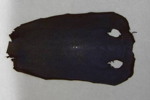 Rochenleder - Bild: A1