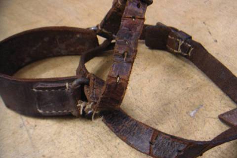 Leder - Restauration - Lederrestaurationen - Bild: A2