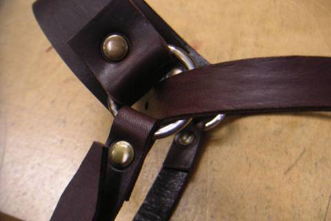 Leder - Restauration - Lederrestaurationen - Bild: A3