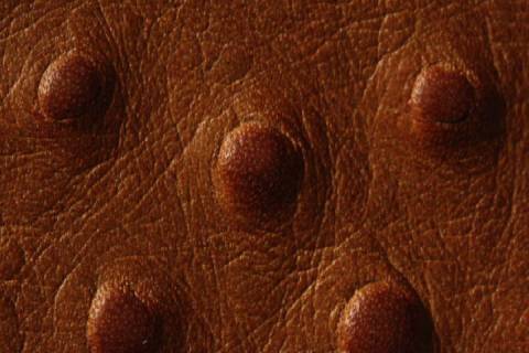 Kalbleder mit Strausspr&auml;gung - Bild: Farbe-Imbrunito