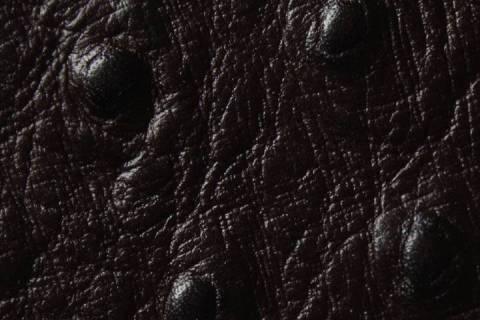 Kalbleder mit Strausspr&auml;gung - Bild: Farbe-Moro