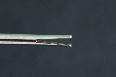 Biegenieten - Spaltnieten 3/22 Nickel 298